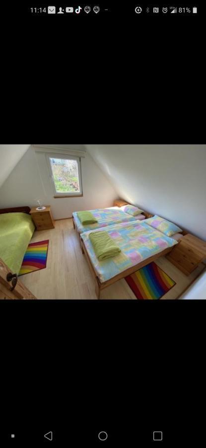 Zagroda z Antonówką Szypliszki Exterior foto